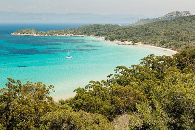 Joli Studio Entre La Mer Et La Ville Hyères المظهر الخارجي الصورة